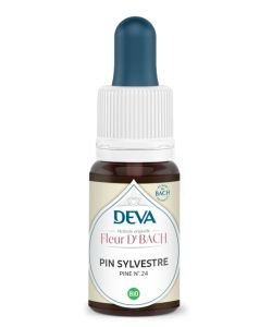 Pin Sylvestre (Pine - N°24)
